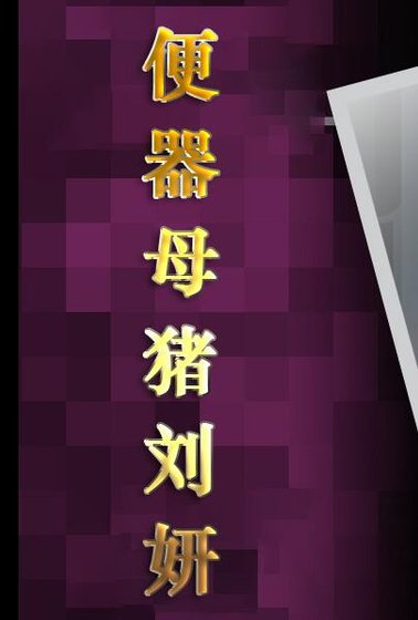 《便器母猪刘妍》