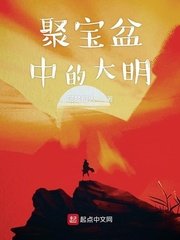 《聚宝盆中的大明》