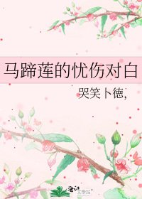 《马蹄莲的忧伤对白》