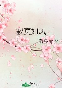 《寂寞如风》