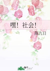 《嘿!社会!》