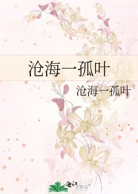 《沧海一孤叶》