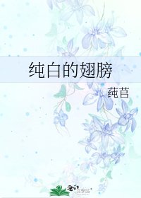 纯白的翅膀