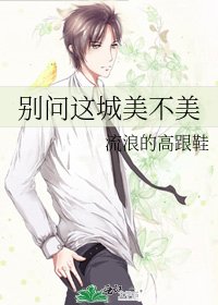 《别问这城美不美》