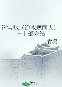 《盗宝贼(逆水寒同人)-上部》