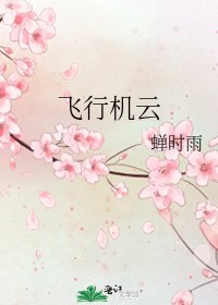 《飞行机云》