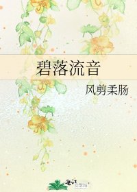 《碧落流音》