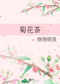 《菊花茶》