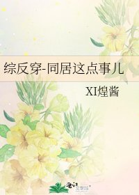 《综反穿-同居这点事儿》