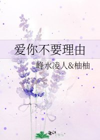 爱你不要理由