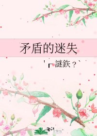 《矛盾的迷失》