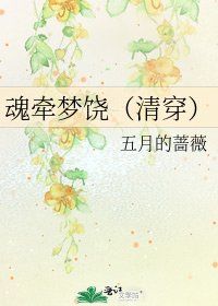 《魂牵梦饶(清穿)》