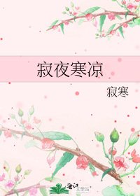 《寂夜寒凉》