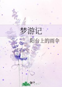 梦游记