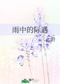 《雨中的际遇》