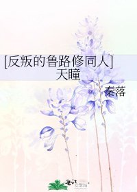 [反叛的鲁路修同人]天瞳