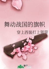 《舞恫战国的旗帜》