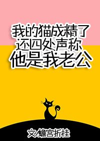《我的猫成精了还四处声称他是我老公》