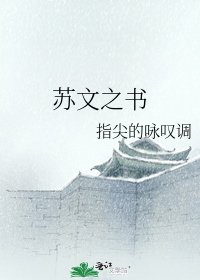 《苏文之书》