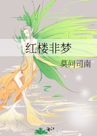 《红楼非梦》