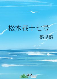 《松木巷十七号》