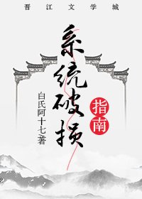 《系统破损指南》