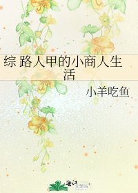 《综 路人甲的小商人生活》
