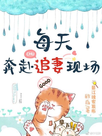 《每天奔赴追妻现场》