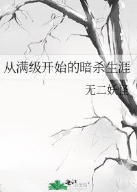 《从满级开始的暗杀生涯》