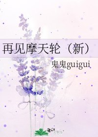 再见摩天轮（新）