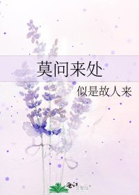 《莫问来处》
