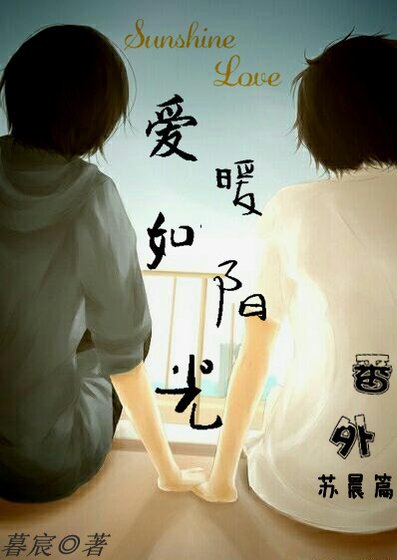《爱暖如阳光 番外 苏晨篇》