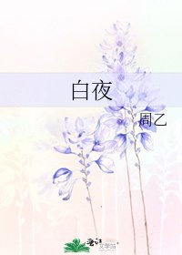 《白夜》