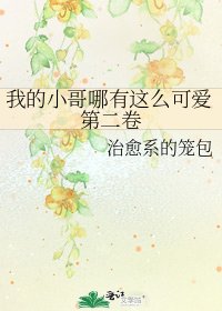 《我的小哥哪有这么可爱第二卷》