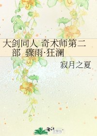 大剑同人 奇术师第二部 骤雨·狂澜