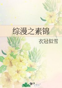 《综漫之素锦》