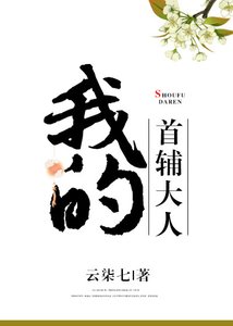 《我的首辅大人》