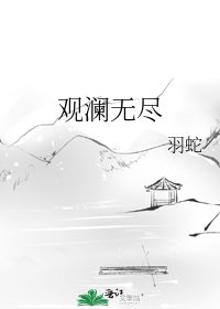 《观澜无尽》