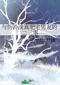 《与伪冷淡真肥宅男友的二三事》