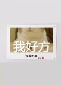 《包养纪事》