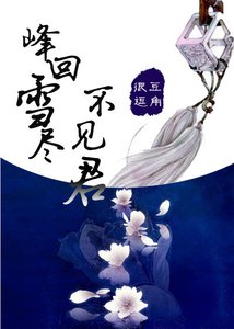 《峰回雪尽不见君》