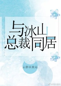 《与冰山总裁同居》