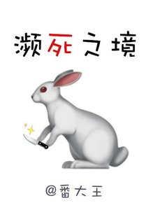 《濒死之境》
