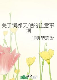 《关于饲养天使的注意事项》