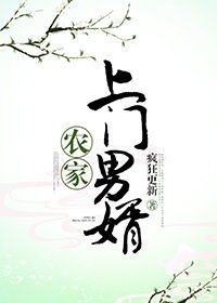 《农家上门男婿》