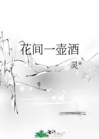 《花间一壶酒》