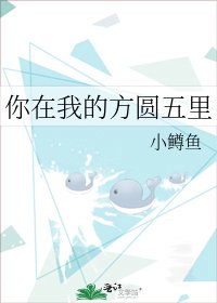 《你在我的方圆五里》