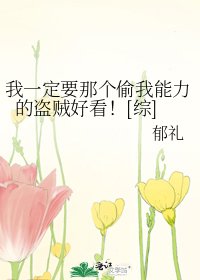 我一定要那个偷我能力的盗贼好看！[综]