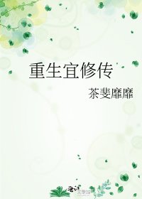 重生宜修传
