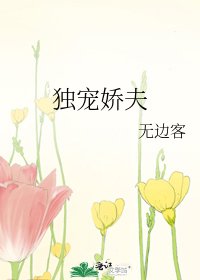 《独宠搅夫》